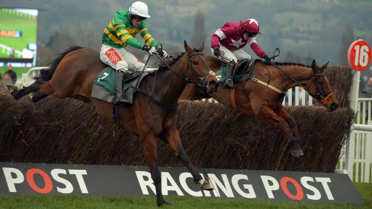 Former Cheltenham Festival winner Minella Rocco (nearside) could tackle hunter chases this season
