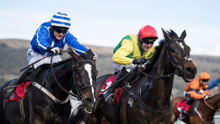 Penhill (left): ready to return in the Hatton's Grace at Fairyhouse on December 1