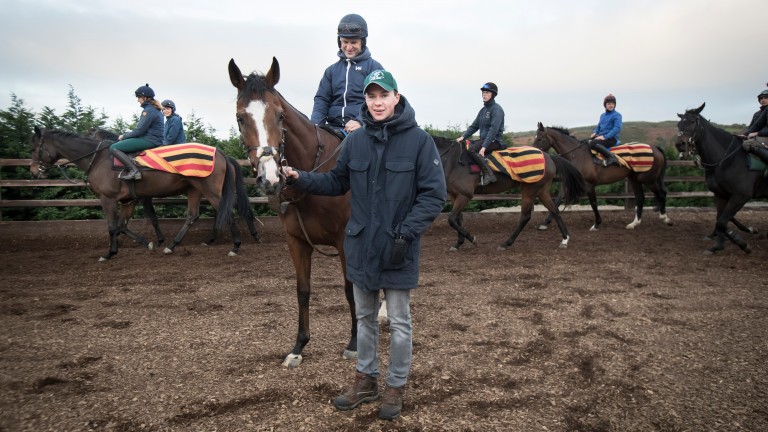 Rhinestone: could return in the Lismullen Hurdle at Navan