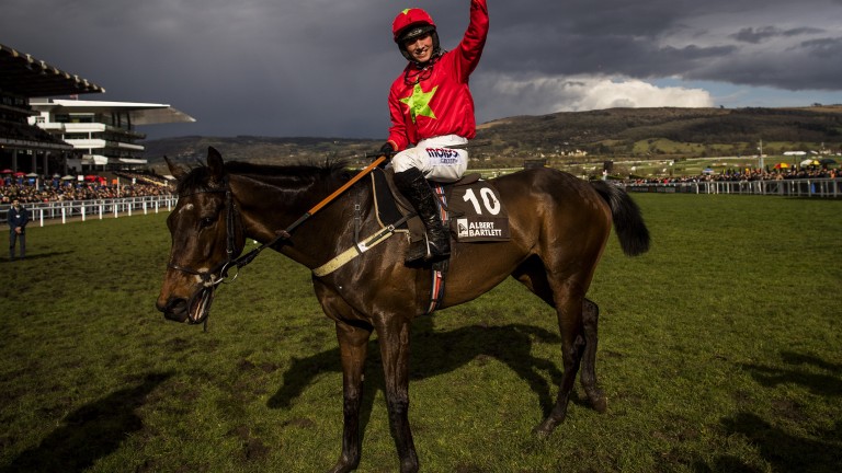 Kilbricken Storm: winner of the Albert Bartlett at Cheltenham in 2018