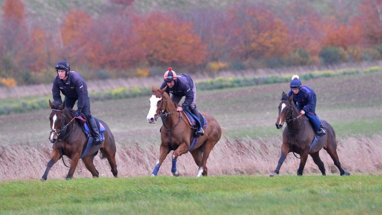 Valdez (centre) on the Barbury Castle gallops
