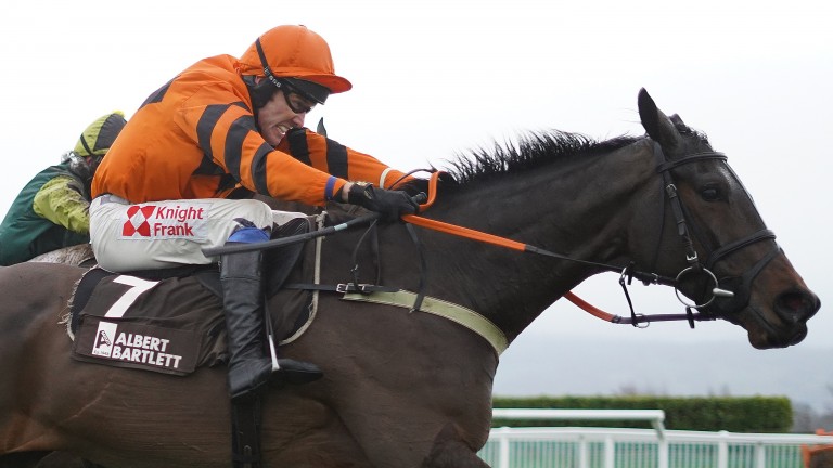 Rockpoint clears the last to win the Albert Bartlett Novices' Hurdle at Cheltenham last December