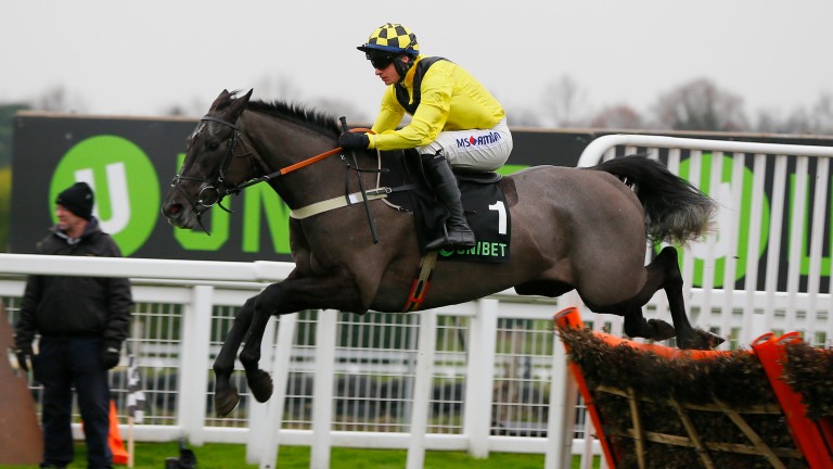 Elixir De Nutz: winner of the Tolworth Hurdle at Sandown last season