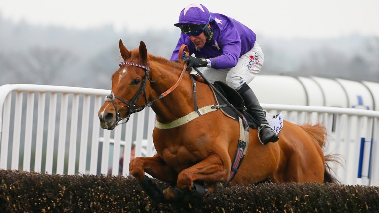 Mister Malarky: winner of the Reynoldstown last season