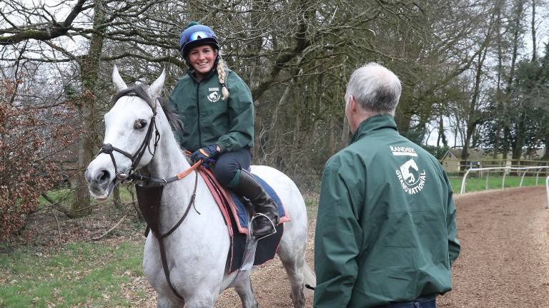 Ramses De Teillee: four-time winner for David Pipe