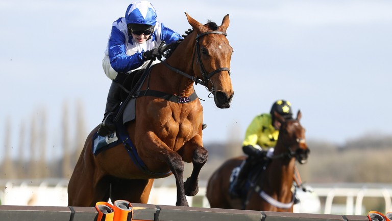 Annie Mc: progressive over hurdles last year and soon to tackle fences