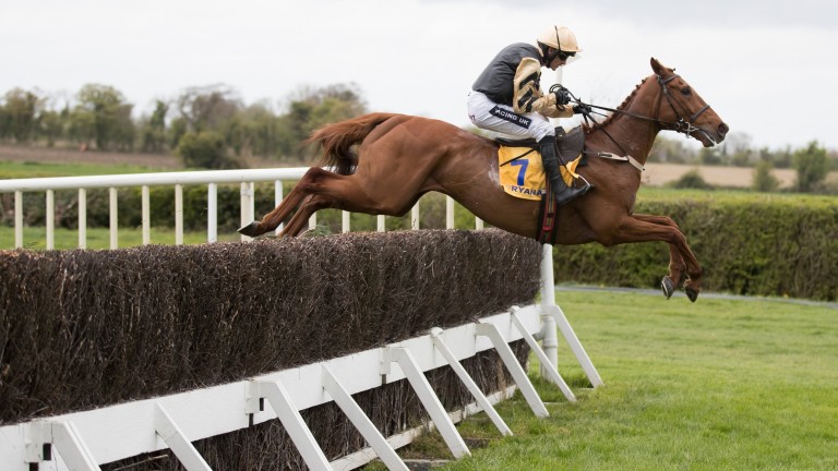 Yorkhill has dropped in the ratings and is a possible for the Ladbrokes Trophy