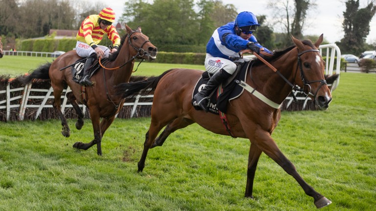 Reserve Tank and Robbie Power win the Champion Novice Hurdle at Punchestown