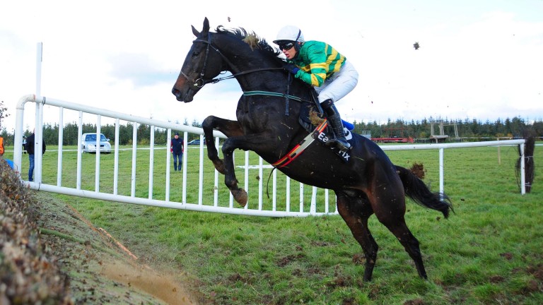 Edwulf: the miracle horse is back in training and will go hunter chasing