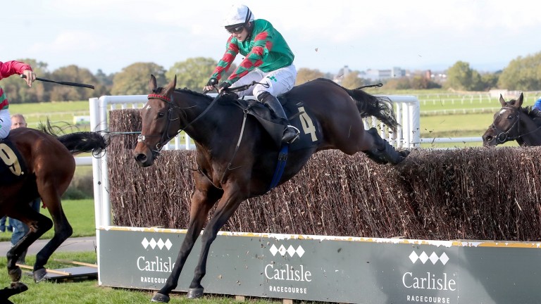 Pop Rockstar: a young staying chaser with potential