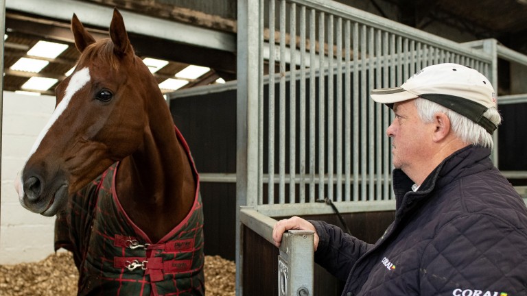 Native River and Colin Tizzard at Venn Farm