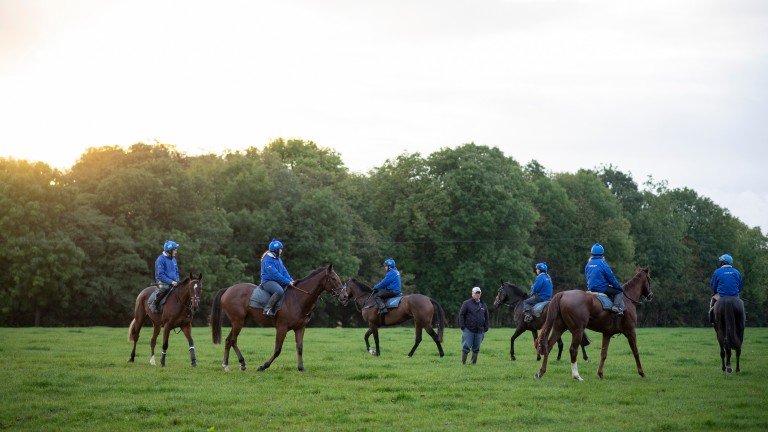 Colin Tizzard organises first lot on the gallops at Venn Farm