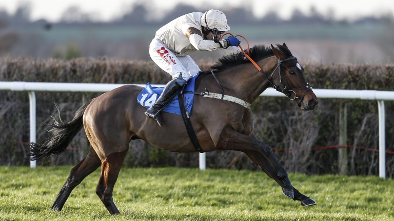 Padleyourowncanoe: "could be anything over fences this season"