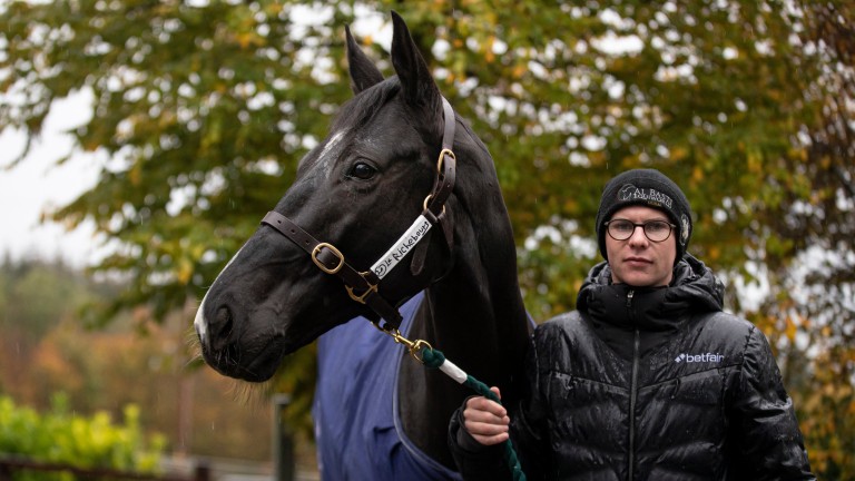 Le Richebourg: last season's star novice chaser is back in training