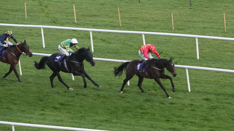 Entoucas chases home subsequent Supreme Novices' winner Klassical Dream at Leopardstown