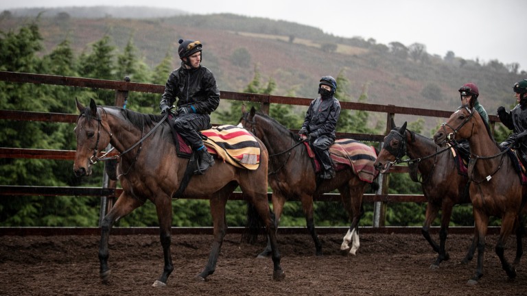 Fakir D'Oudairies: will go chasing this season