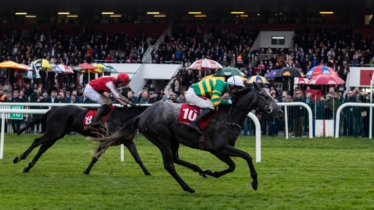 Front View: an exciting horse to go novice hurdling