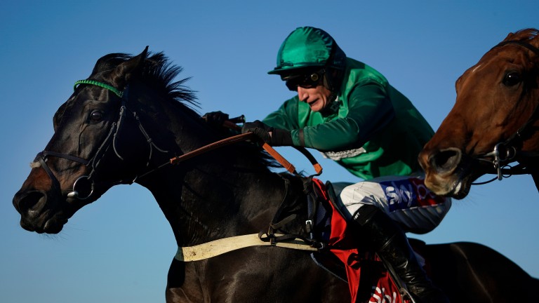 Sceau Royal: winner of the 2018 Shloer Chase