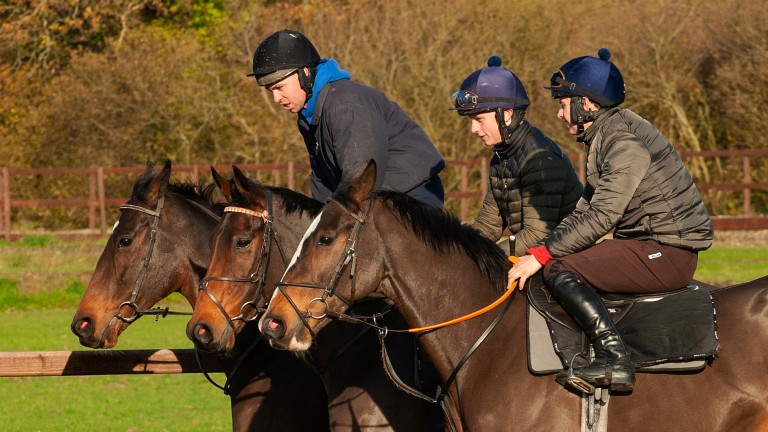 Equus Dancer (Donal Devereux) exercises on the round gallop at Peter Bowen's stables