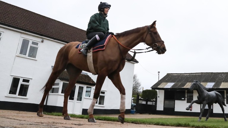 Vieux Lion Rouge: set to head back to Aintree