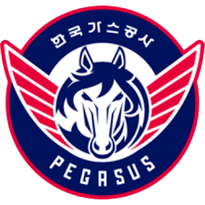 대구 한국가스공사 페가수스