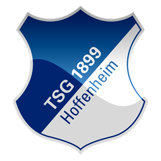 TSG 호펜하임