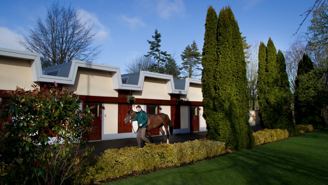 Irish National Stud announces 30strong group for breeding course