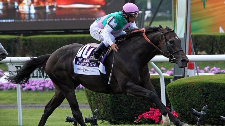 Flintshire: stamped his authority on the 2016 Manhattan Stakes at Belmont