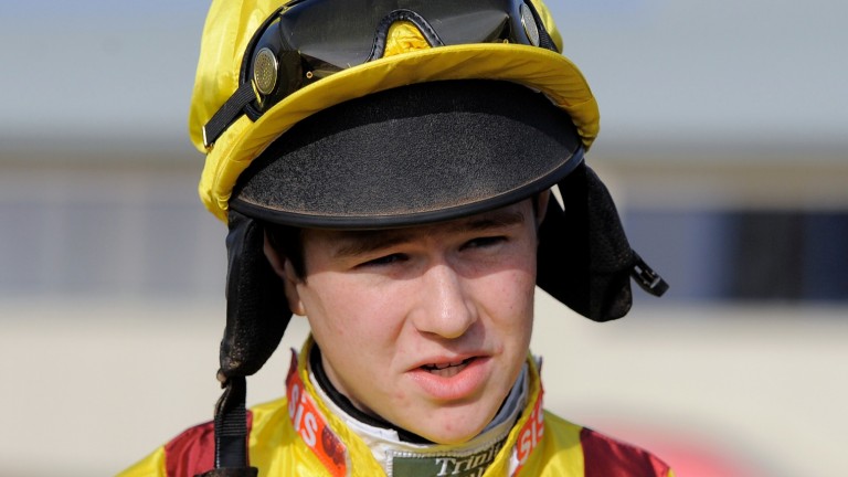 Brendan Powell will wear the Auroras Encore-winning colours aboard Maggio