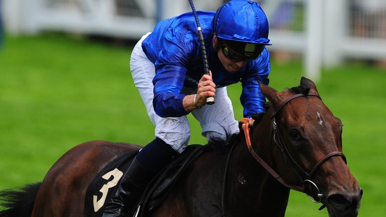 Zarak shines in racecourse gallop as RoyerDupre plots route to
