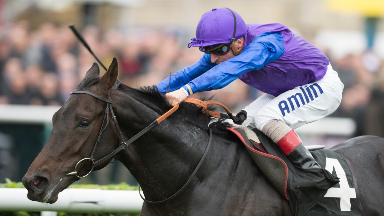 Racing Post Trophy scorer Marcel has first foal on the ground