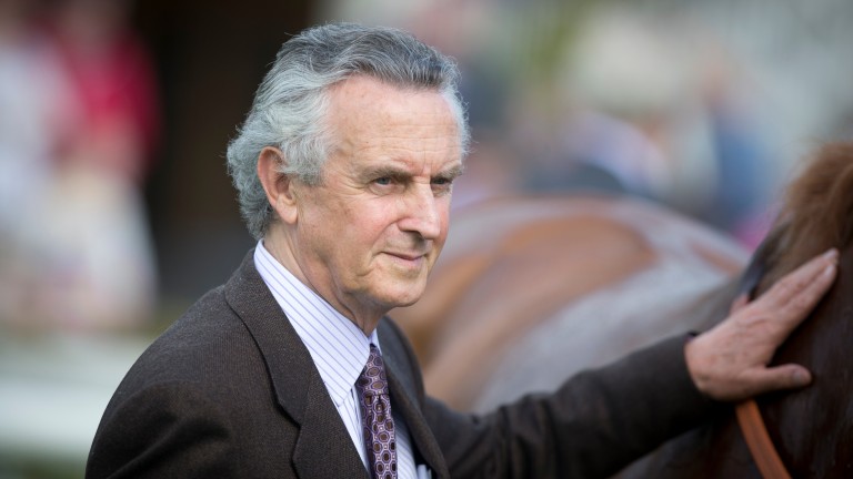 Jim Bolger: trainer of Constant Comment