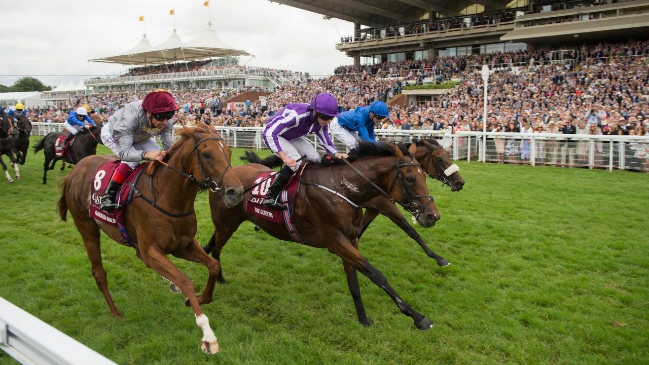Ballydoyle To Unleash Sister To Classic Hero And Sussex Stakes Winner The Gurkha Bloodstock News Racing Post