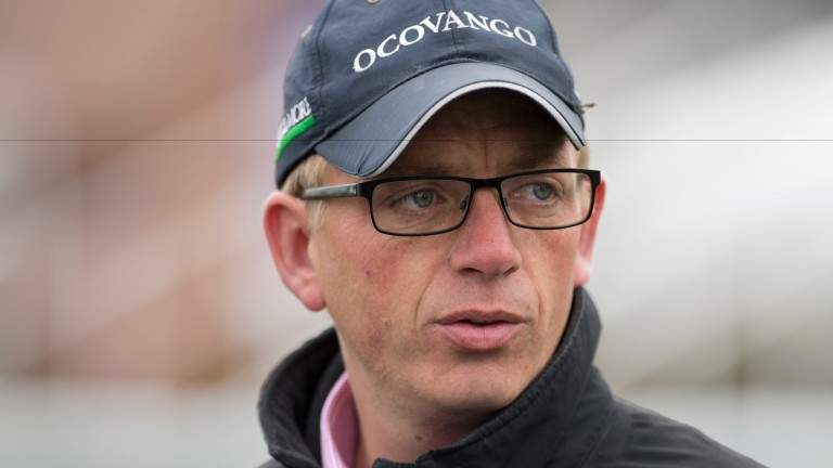 Warren Greatrex: "I'd like to think Miss Honey Ryder has the beating of those with experience"
