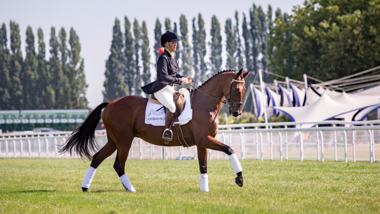 Kasbah Bliss propose un spectacle de dressage dans le cadre de la journée Au-Dela des Pistes