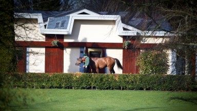 Gale Force Ten Irish National Stud Photo: Patrick McCann 10.02.2016