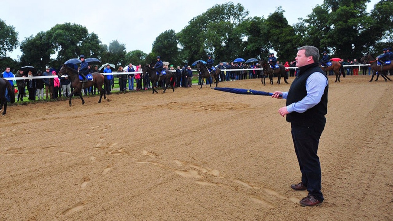 How Irish jump racing became a tale of contrasts among training ranks