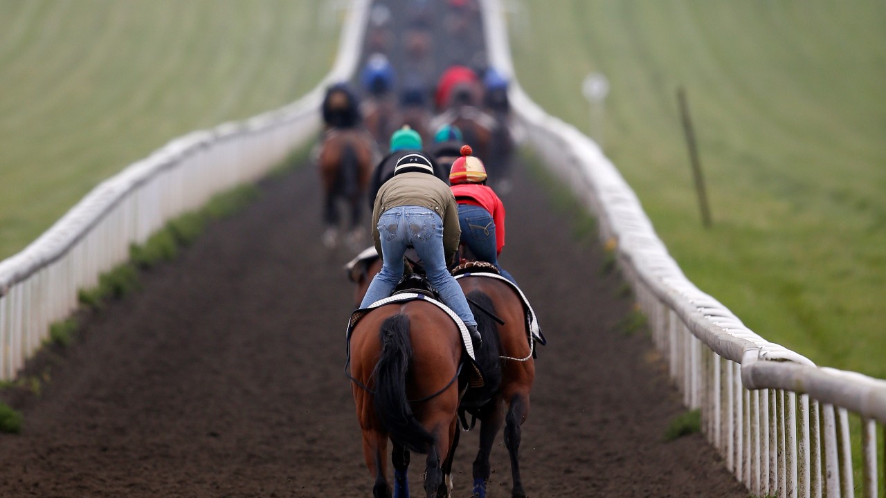 How much does an owner really earn? Horse Racing News Racing Post