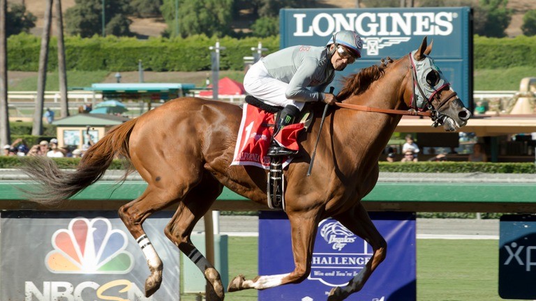 California Chrome: likely to head a galaxy of stars at the Breeders' Cup