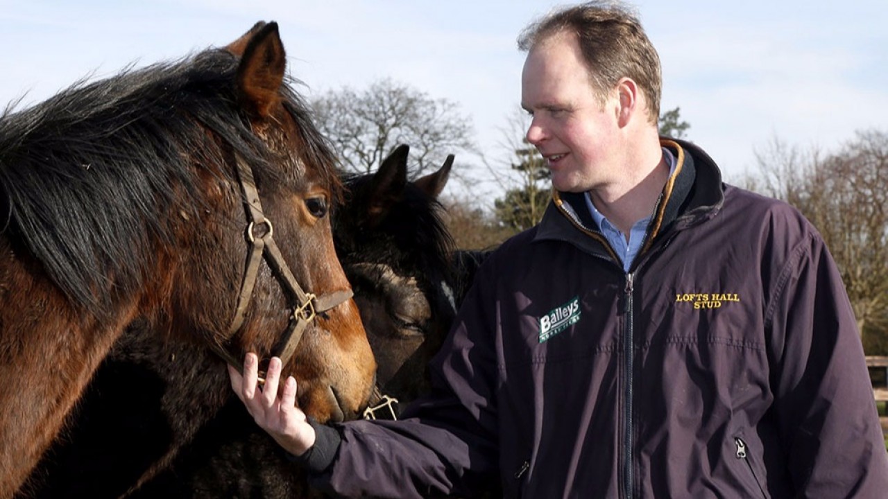 Demands Of Modern Life Run Against Requirements By Breeders Bloodstock News Racing Post