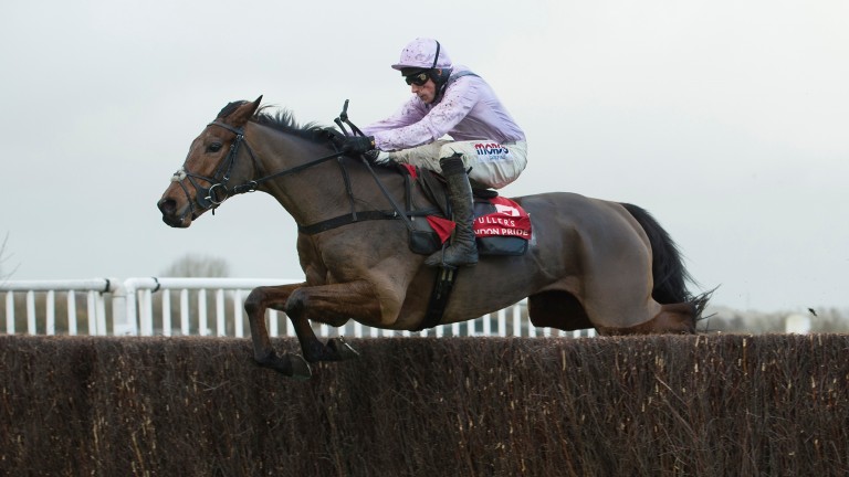 Three Musketeers was also a Graded winner over fences for Dan Skelton at Newbury