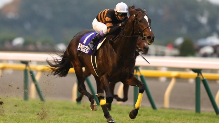 Kitasan Black and Yutake Take dominated the field in the 2016 Japan Cup