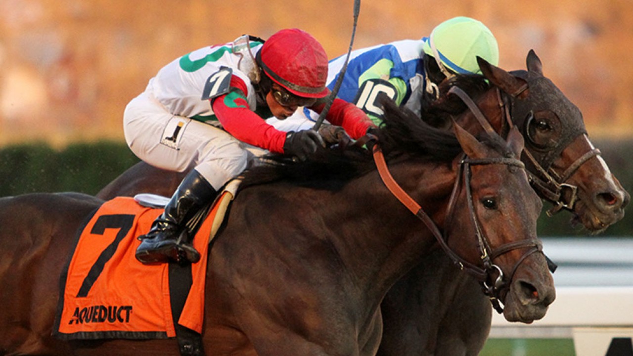 Connect wins thrilling Cigar Mile at Aqueduct Horse Racing News