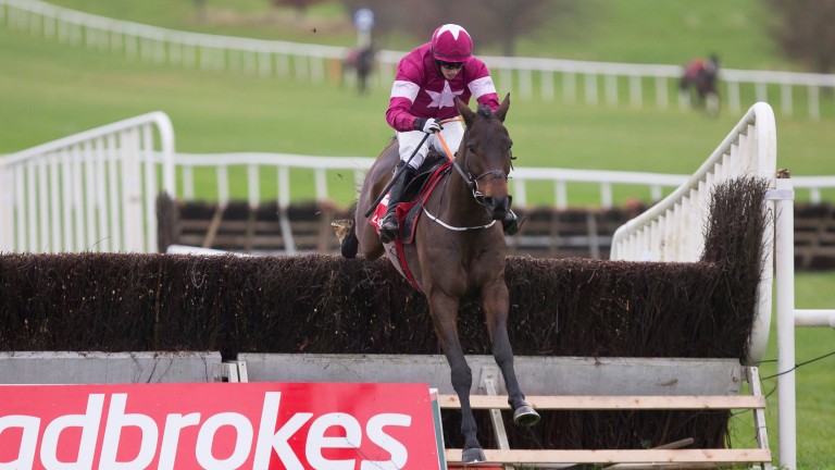 Empire Of Dirt: being aimed at the Ryanair Chase