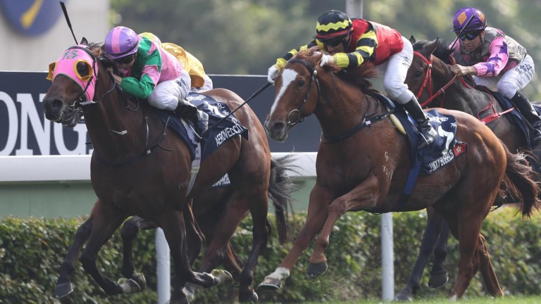 Aerovelocity (pink hood) just held off Lucky Bubbles in the Hong Kong Sprint