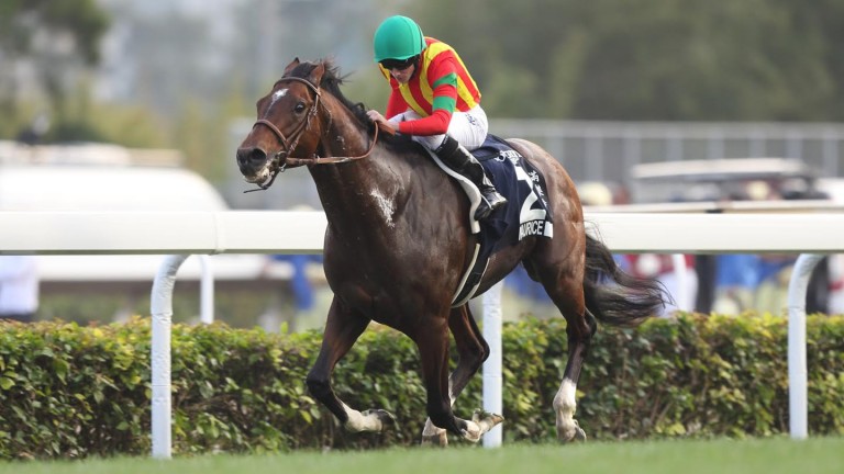 Maurice and Ryan Moore were superb in winning the Hong Kong Cup by three lengths