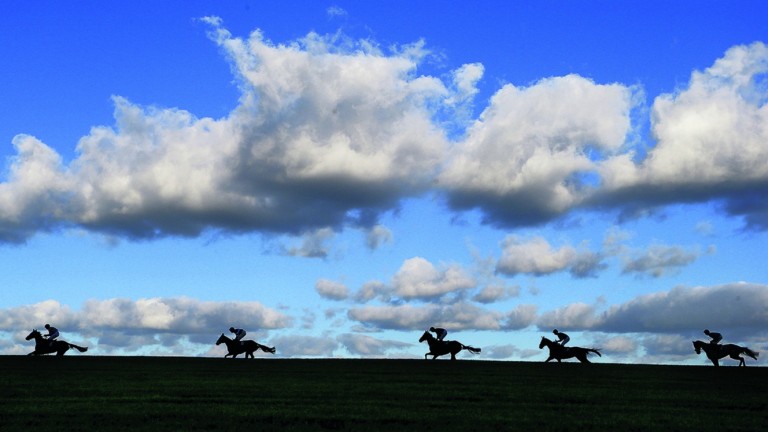 Exeter And Wincanton Clerk Barry Johnson Steps Down Citing Long Hours Horse Racing News Racing Post