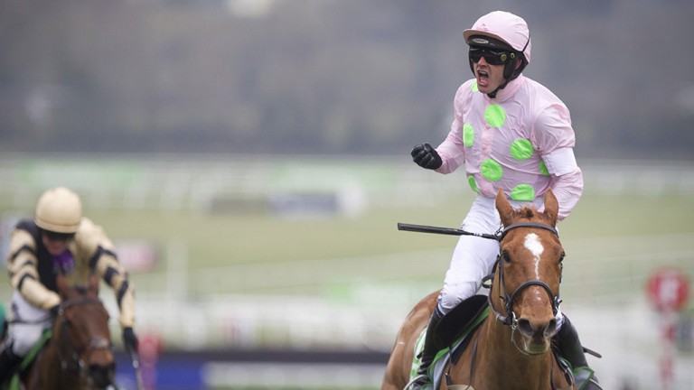 Ruby Walsh roars with joy as he and Annie Power run away with the Champion Hurdle
