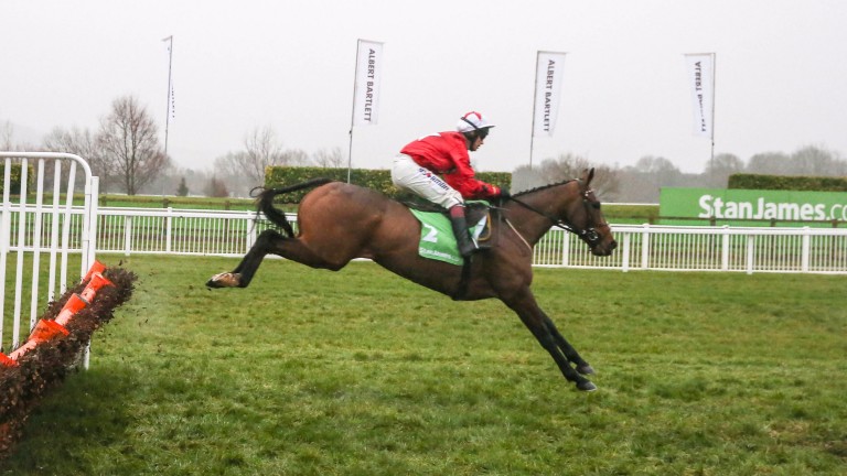 The New One: Nigel Twiston-Davies happy to stick to two miles for now
