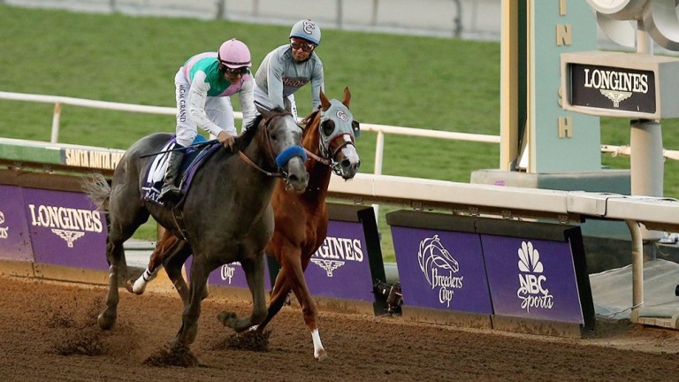 Arrogate: earned a rating of 134 for his Breeders' Cup Classic win